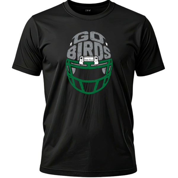 Go Birds Helmet